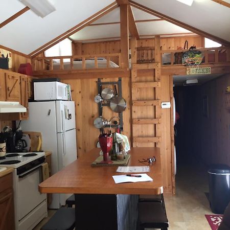 Cozy Cabin On The Bayou Maurepas Exterior foto