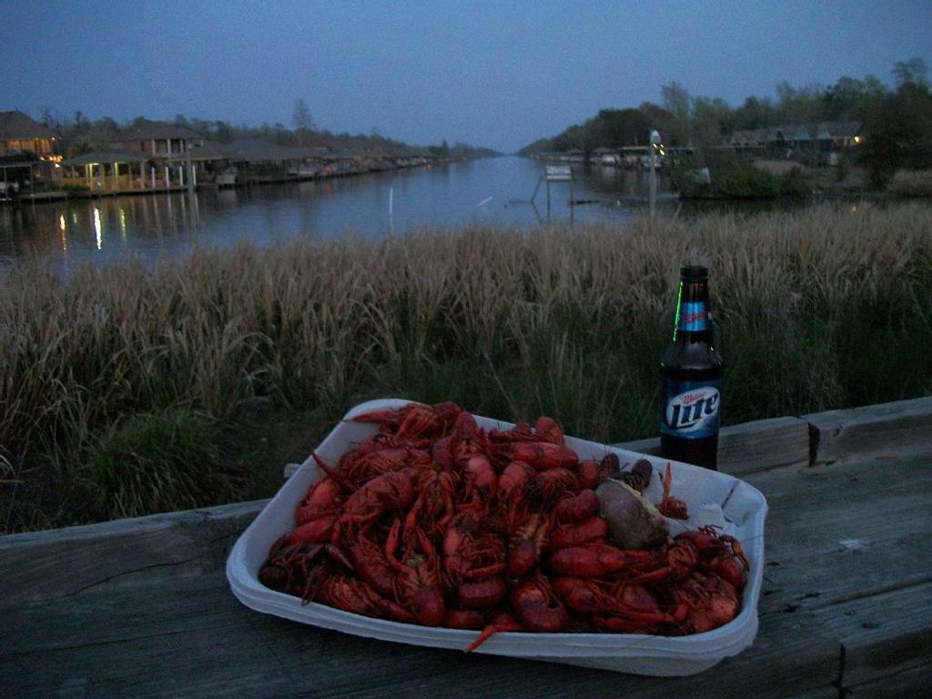 Cozy Cabin On The Bayou Maurepas Exterior foto